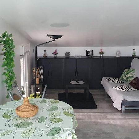Appartement Cocooning Auterive Auterive  Eksteriør billede
